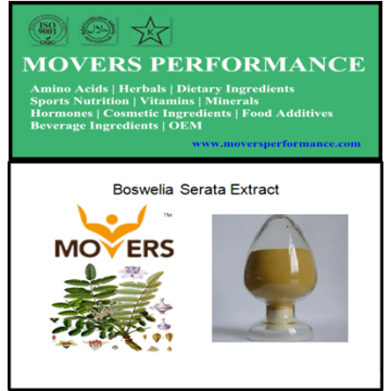 Extracto de planta de alta qualidade: extrato Boswellin Serata